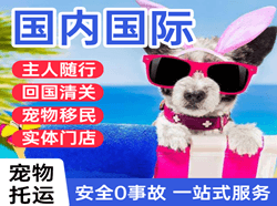 烟台航空托运国际宠物托运 【国